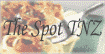 The Spot TNZ Logo